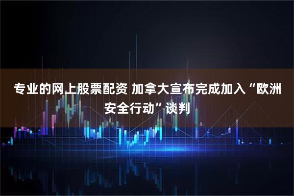专业的网上股票配资 加拿大宣布完成加入“欧洲安全行动”谈判